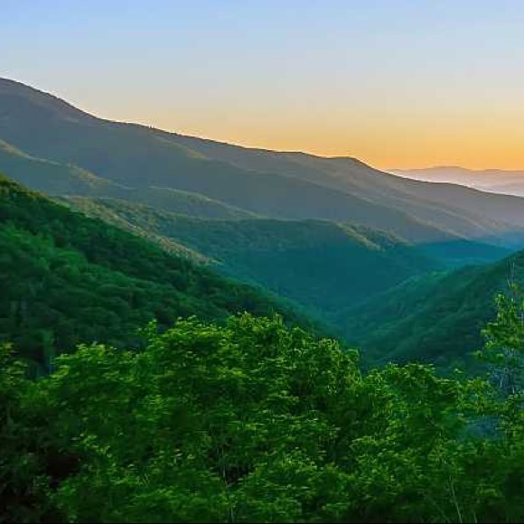 Meet your Posher, Ashley - Picture 1 of 1